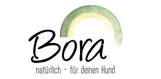 Das persönliche Herzstück: Optimale Repräsentation durch unsere “Über uns”-Seiten