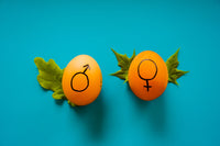 Gender Zeichen auf zwei Eiern – inara schreibt